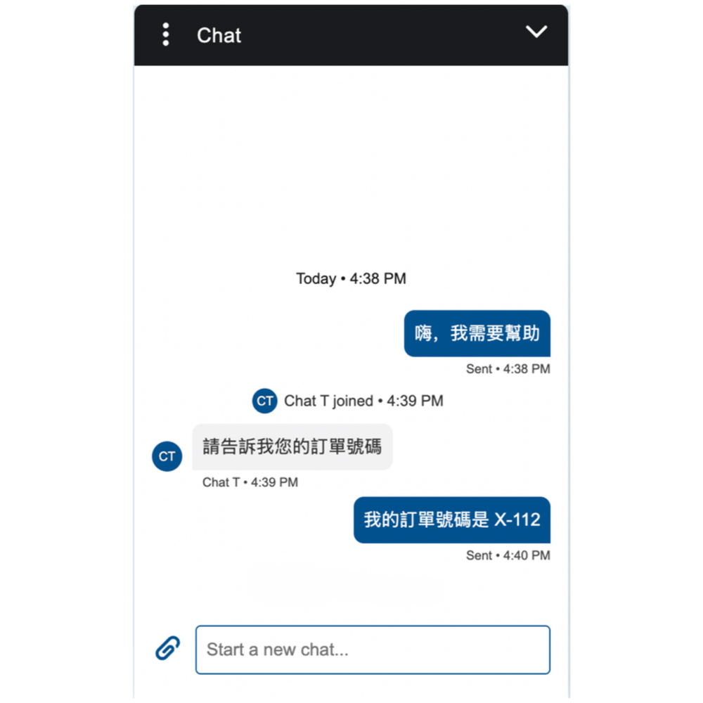 A customer seamlessly chatting with the support agent in their native language.