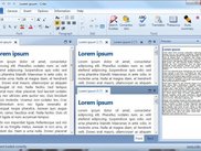 Multiple document editor
