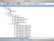 Output folder structure example