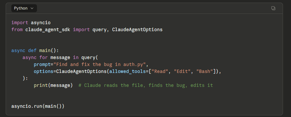 Claude Agent SDK Screenshot 1