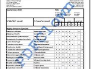 3. Watermarking
