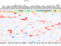 Clustergrammer Screenshot 1
