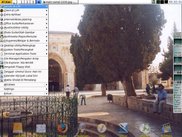 Main Screen Of Comal-0730