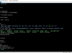 Screenshot of running Comtos Linux (Vermilion Bird)