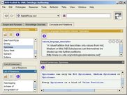 Tab showing concepts, relationships and instances