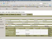 Single Order Financial Summary Screen