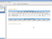 Informe PDF generado por la aplicación