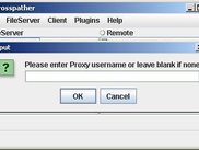 3. Proxy Authentication Prompt (if proxy settings enabled)