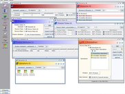CRP Capacity application screen shot
