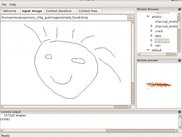 Setting an input image