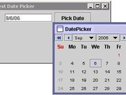 Test Date Picker