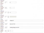 3. Record Editor