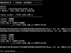 Console Example Output