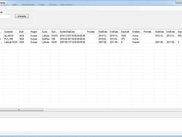 Main Interface