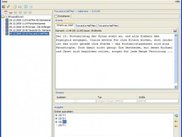 A view of the application window