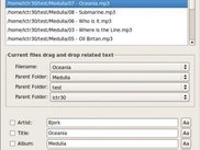 editor window