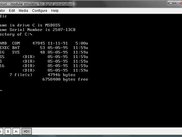 Dioscuri emulator running MS DOS