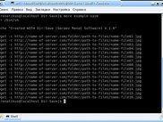 Show result after 3 click's-bash script for wget programm