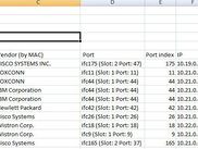 Example Report