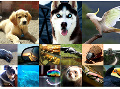 DiT (Diffusion Transformers) Screenshot 1