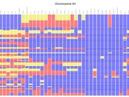 Diversity map: 35 accessions, compared with 2 references