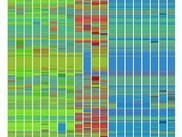 Spectral map: all-vs-all comparison (large SNP panel)