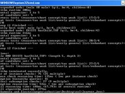 shows the cosnsole output of a learning problem