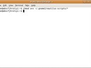 Making the shell scripts, dmgmount &amp; dmgunmount, executable