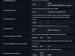 dnsjava Screenshot 1