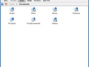 default icon view mode