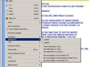 DrPython Edit Menu