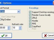 DSKVNC Client - RFB &amp; Session Options
