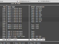 Version 0.2 DVB-Salmon can show a list of the PIDs in the stream.