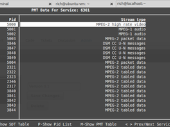 Version 0.2 DVB Salmon can also help you analyze PMT data.