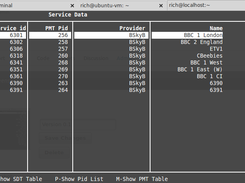 Version 0.2 DVB-Salmon showing a summary of the service data table (SDT).