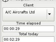 Displays active customer, todays work and a pause button.