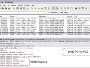CP1-SEND options