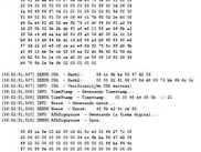 Log-example