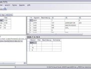 EDIFACT Segment Ansicht
