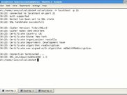 SSLvalidate 0.1 in action