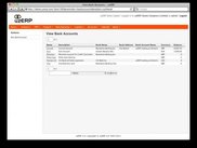 Bank Accounts Summary