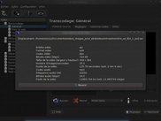 Window informations for a video