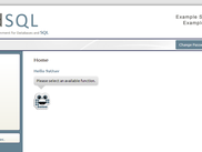 Pupil Interface Home