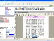 PDF example