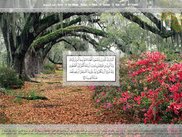 وضع ملء الشاشة2
