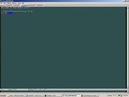 Windows XP running EasyTerm
