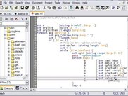 Crimson Editor 3.72