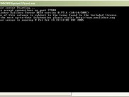 Server running on Windows XP