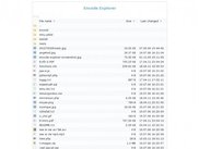 Encode Explorer 6.1