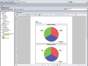 Endeavour Defects Report
